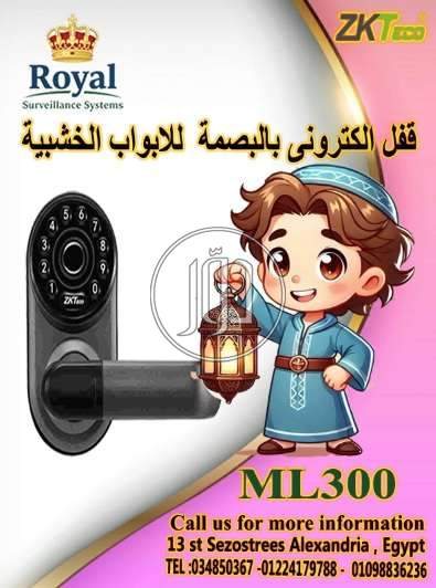 اجهزة الكترونية في مصر