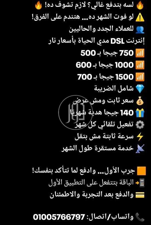 شبكات وانترنت في مصر - دوّر.كوم