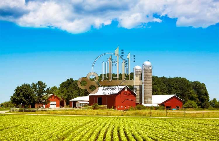 صور اراضي زراعية للبيع في الامارات - دوّر.كوم