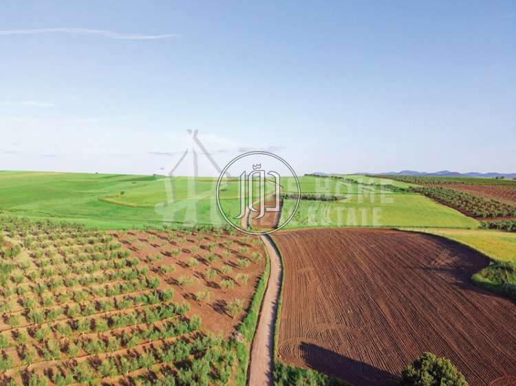 صور اراضي زراعية للبيع في أبو ظبي - دوّر.كوم