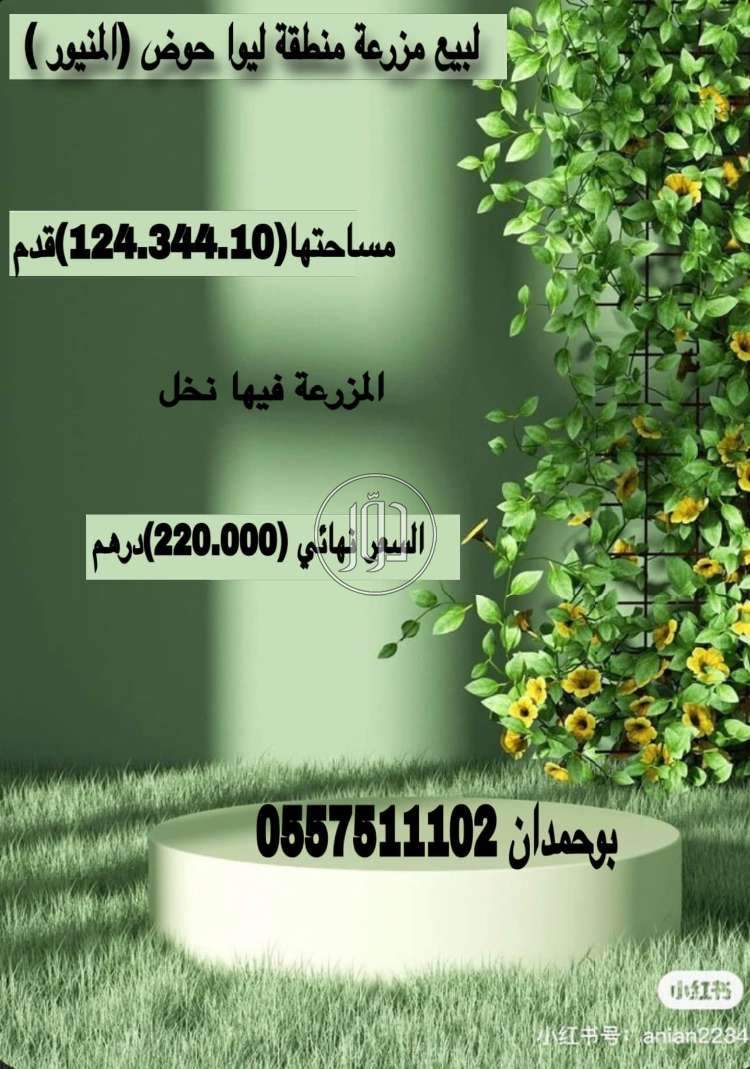 صور اراضي زراعية للبيع في الامارات - دوّر.كوم