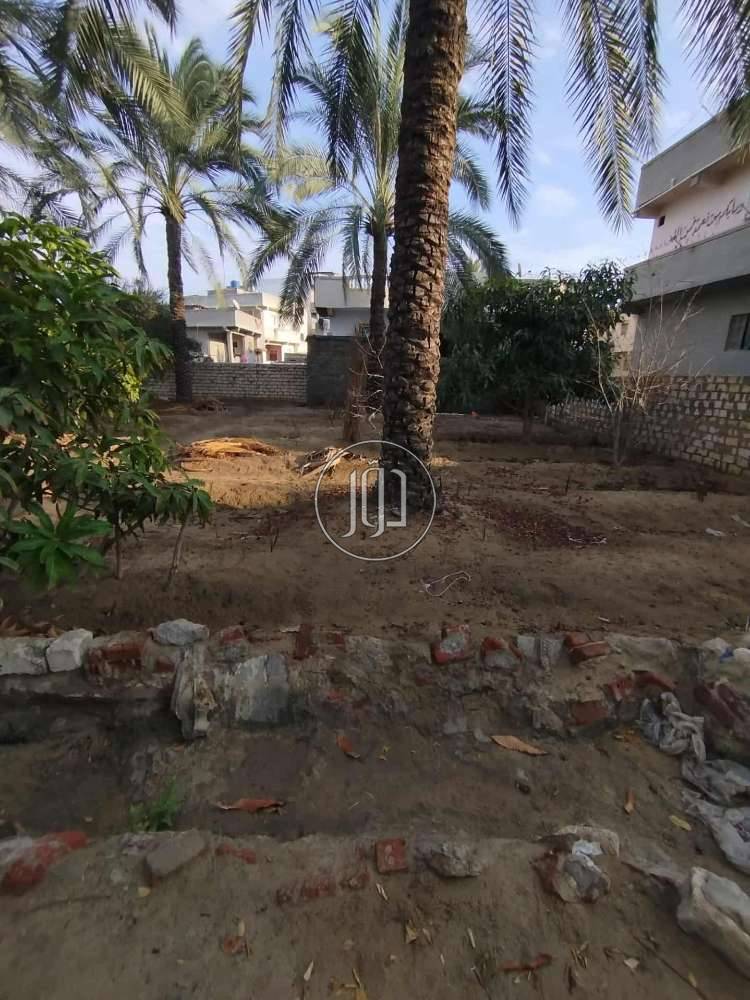 صور اراضي زراعية للبيع في البحيرة - دوّر.كوم