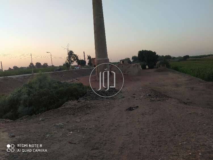 صور اراضي زراعية للبيع في الجيزة - دوّر.كوم