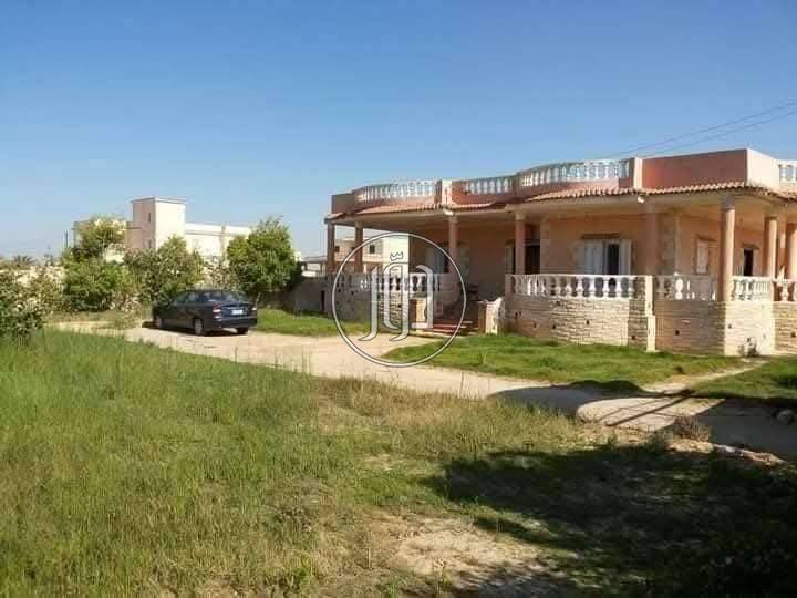 لسرعه البيع 10 فدان للبيع عقد اخضر في منطقه من افضل المناطق الزراعيه