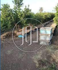 صور اراضي زراعية للبيع في المنوفية - دوّر.كوم