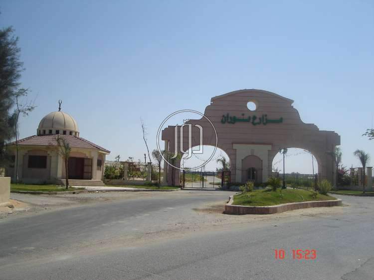 صور اراضي زراعية للبيع في الجيزة - دوّر.كوم