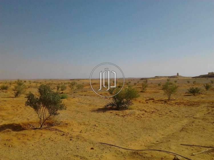 صور اراضي زراعية للبيع في مصر - دوّر.كوم