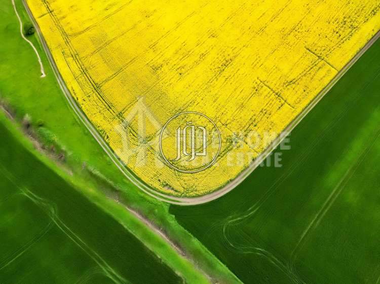 صور اراضي فضاء للبيع في أبو ظبي - دوّر.كوم