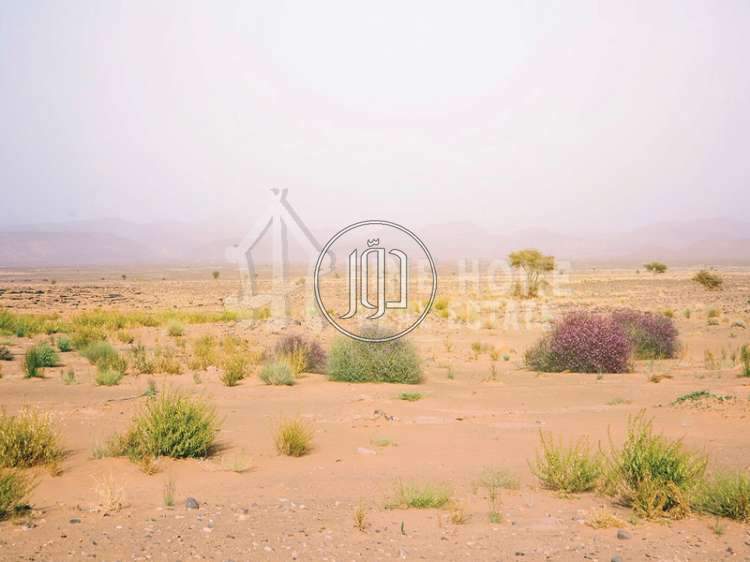 صور اراضي فضاء للبيع في أبو ظبي - دوّر.كوم