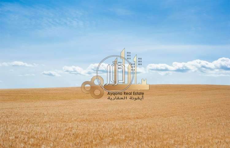 صور اراضي فضاء للبيع في الامارات - دوّر.كوم