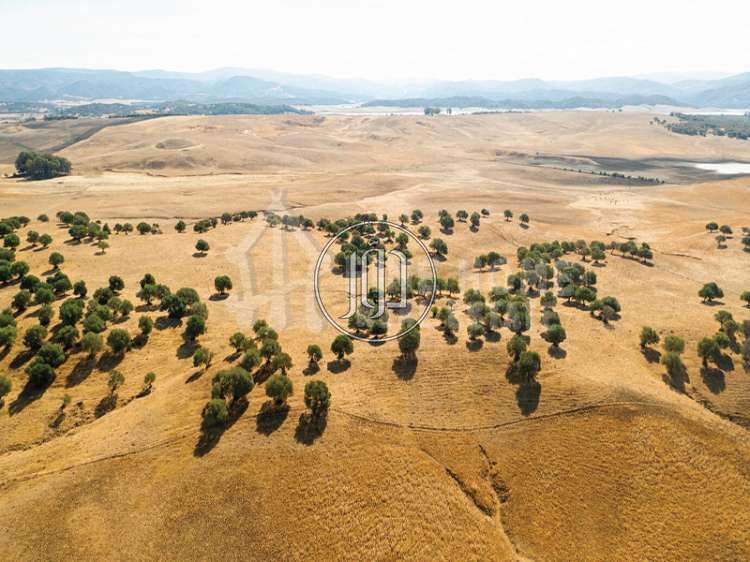 صور اراضي فضاء للبيع في الامارات - دوّر.كوم