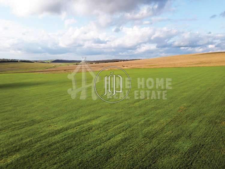 صور اراضي فضاء للبيع في أبو ظبي - دوّر.كوم