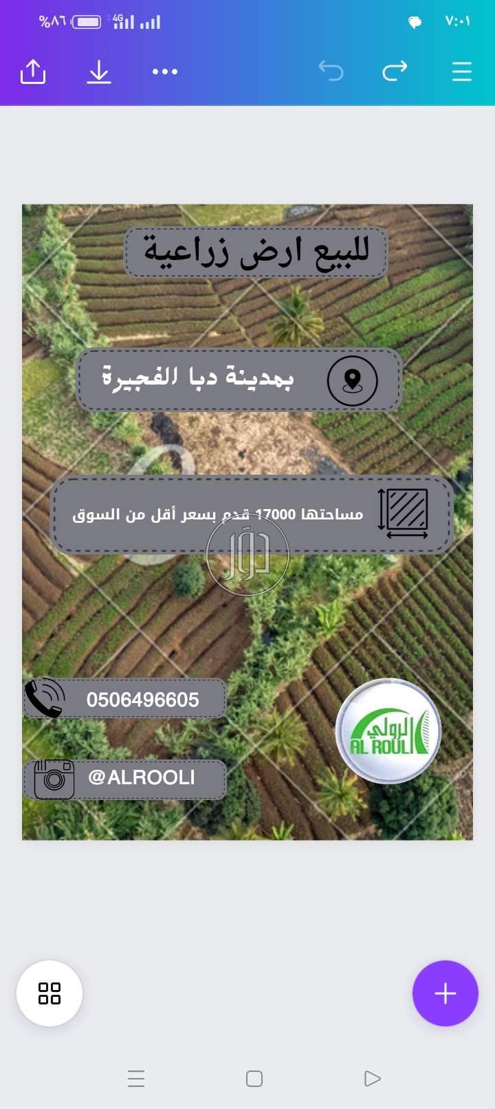 صور اراضي فضاء للبيع في الامارات - دوّر.كوم