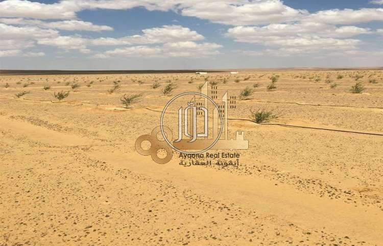 صور اراضي فضاء للبيع في أبو ظبي - دوّر.كوم