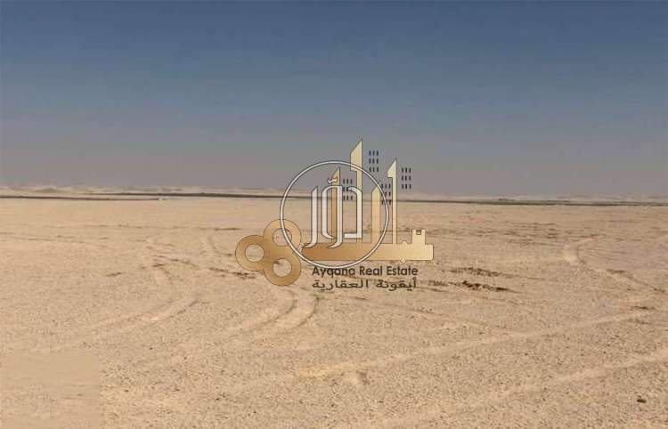 صور اراضي فضاء للبيع في أبو ظبي - دوّر.كوم