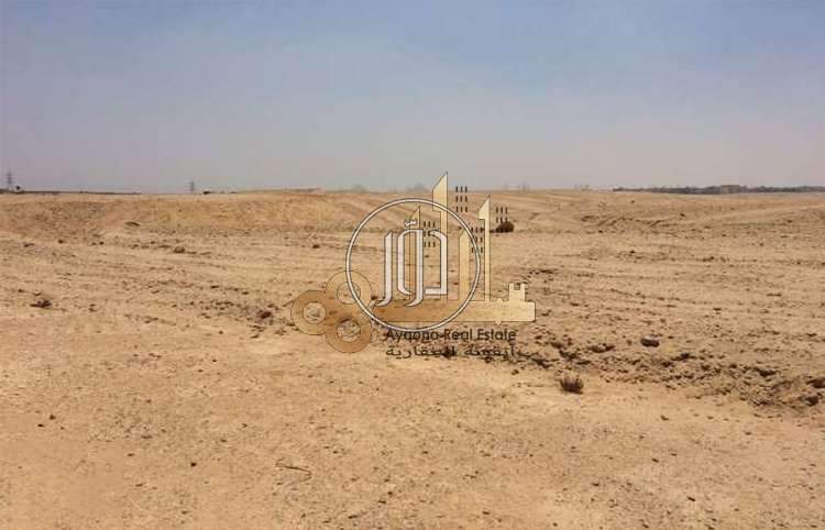 صور اراضي فضاء للبيع في أبو ظبي - دوّر.كوم