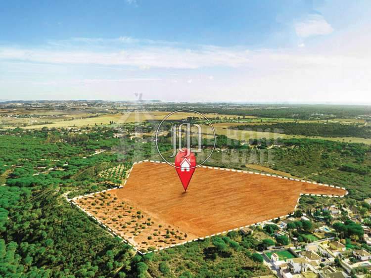 صور اراضي فضاء للبيع في الامارات - دوّر.كوم