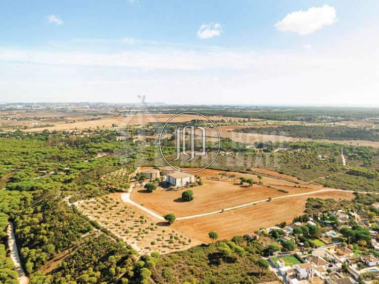 صور اراضي فضاء للبيع في أبو ظبي - دوّر.كوم