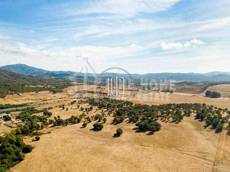 صور اراضي فضاء للبيع في أبو ظبي - دوّر.كوم