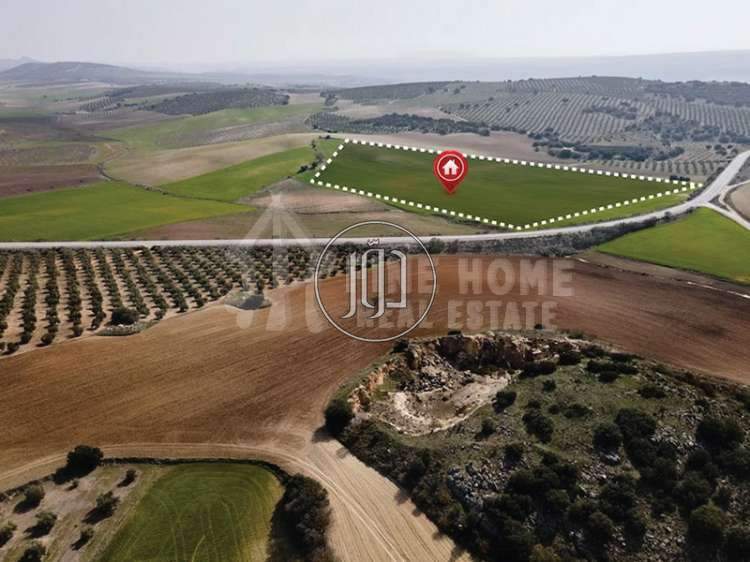 صور اراضي فضاء للبيع في الامارات - دوّر.كوم