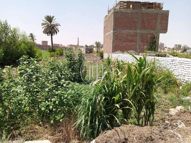 صور اراضي فضاء للبيع في الجيزة - دوّر.كوم