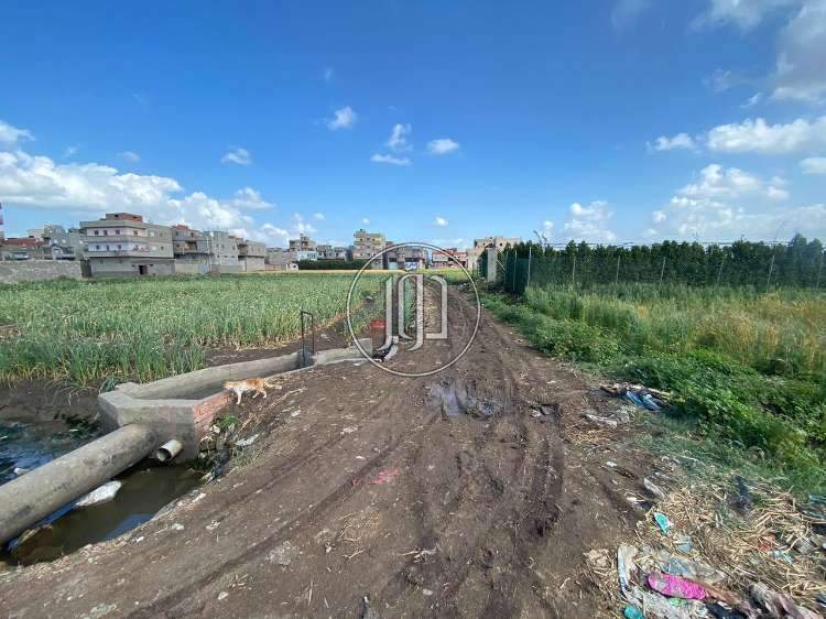صور اراضي فضاء للبيع في الإسماعيلية - دوّر.كوم