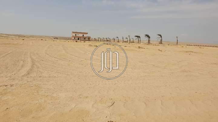 صور اراضي فضاء للبيع في الفيوم - دوّر.كوم