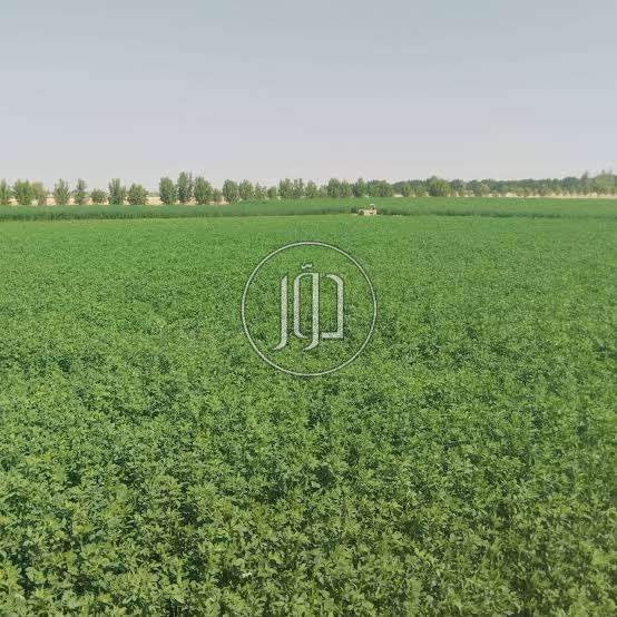 صور اراضي فضاء للبيع في مصر - دوّر.كوم