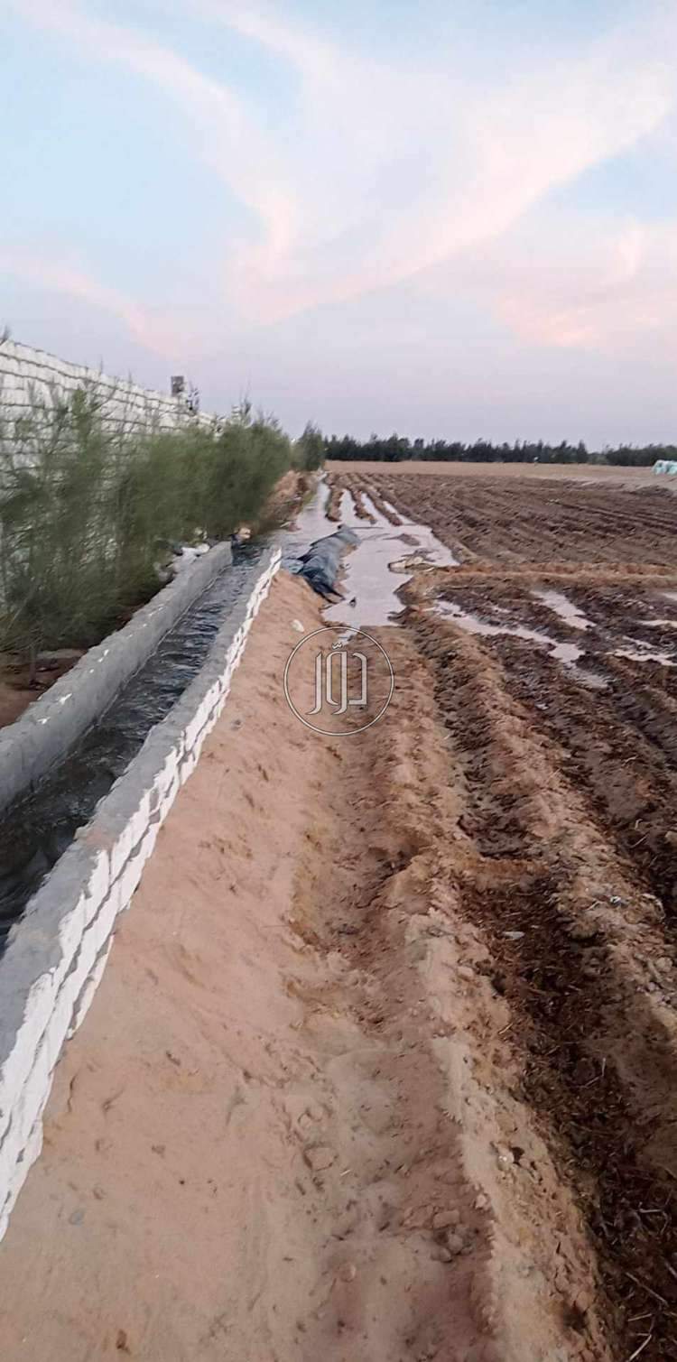 إيهاب البلبيسي - مزرعه أربع فدان - اراضي فضاء للبيع في الإسماعيلية