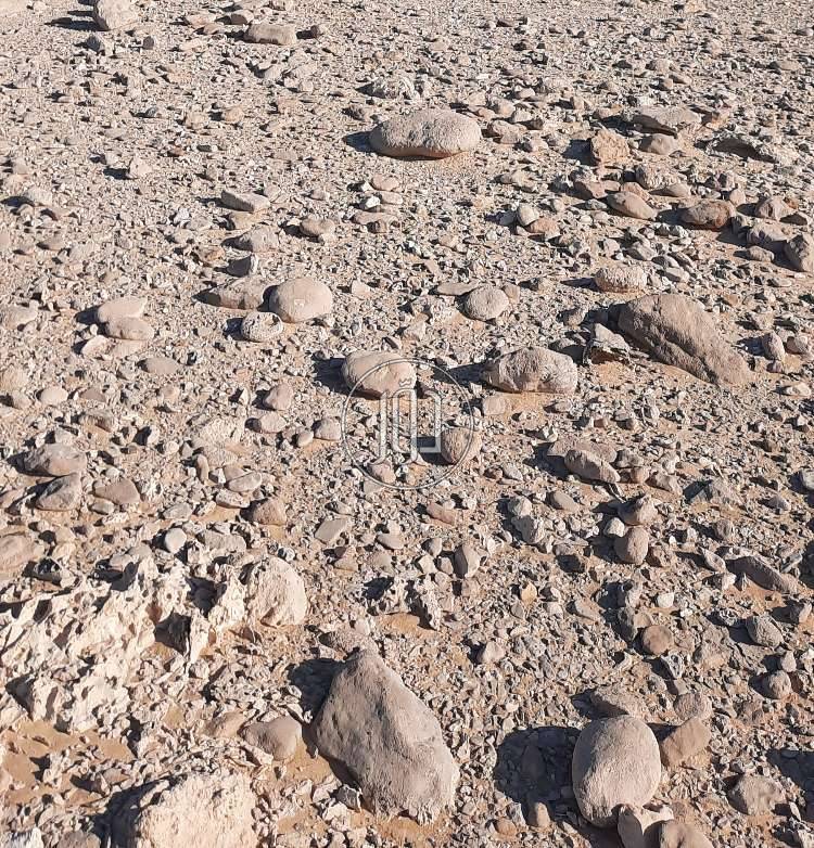 صور اراضي فضاء للبيع في مصر - دوّر.كوم