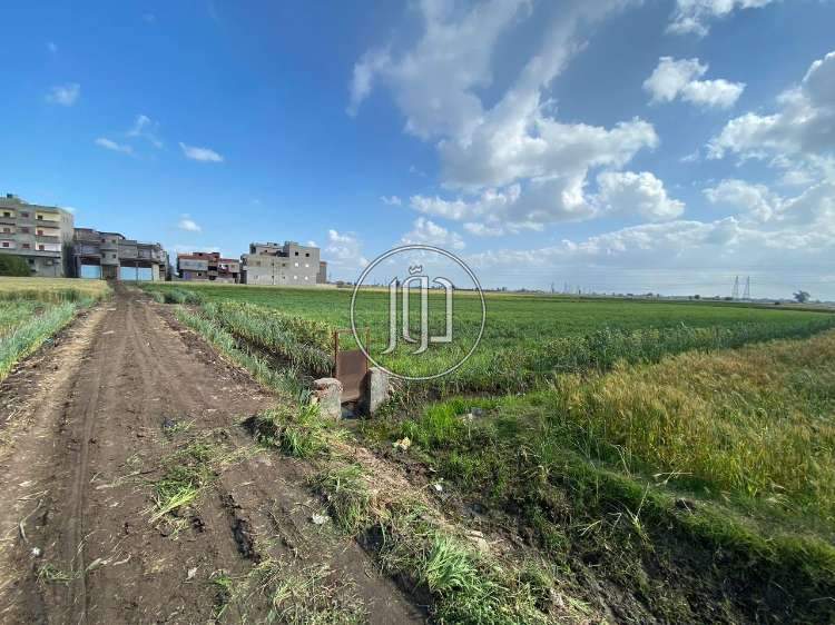 صور اراضي فضاء للبيع في الدقهلية - دوّر.كوم