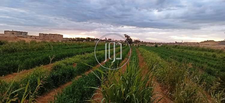 صور اراضي فضاء للبيع في مصر - دوّر.كوم