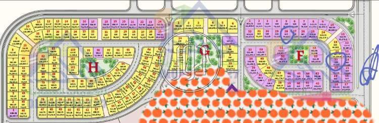 صور اراضي فضاء للبيع في الجيزة - دوّر.كوم