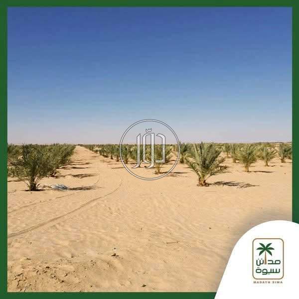 صور اراضي فضاء للبيع في مصر - دوّر.كوم