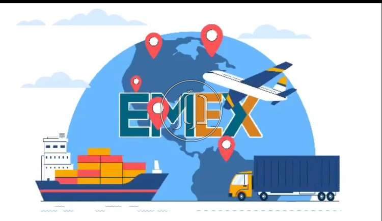 صور استخلاص جمركي في القاهرة - دوّر.كوم