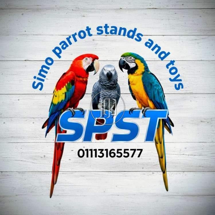 اسماك وطيور زينة في مصر - دوّر.كوم