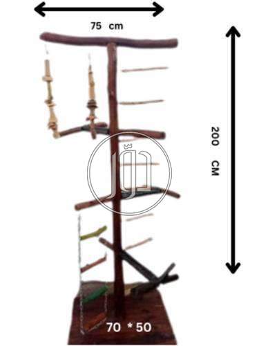 صور اسماك وطيور الزينة للبيع في مصر - دوّر.كوم