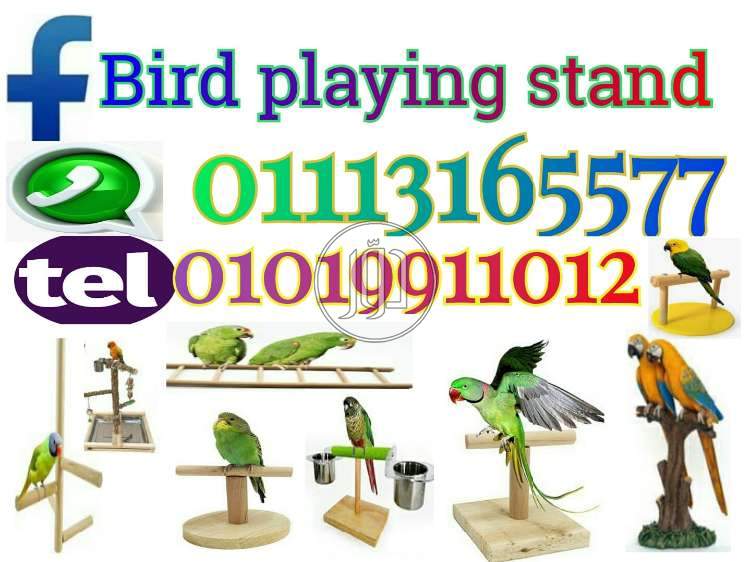 صور اسماك وطيور الزينة للبيع في القاهرة - دوّر.كوم