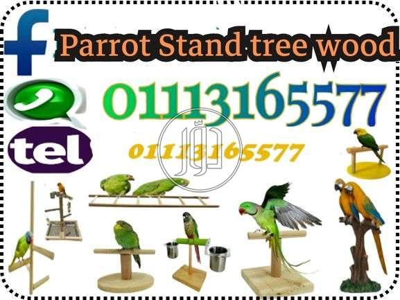 صور اسماك وطيور الزينة للبيع في مصر - دوّر.كوم