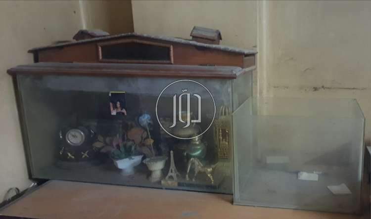 صور اسماك وطيور الزينة للبيع في الشرقية - دوّر.كوم