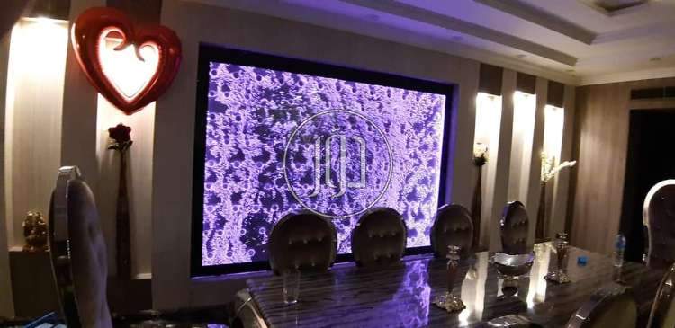 صور اسماك وطيور الزينة للبيع في مصر - دوّر.كوم