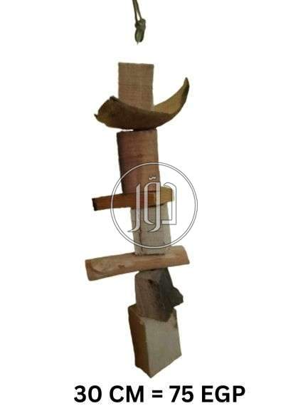 صور اسماك وطيور الزينة للبيع في مصر - دوّر.كوم