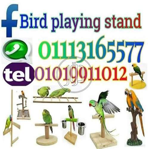 صور اسماك وطيور الزينة للبيع في مصر - دوّر.كوم