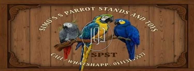 ستاند ببغاء و العاب خشب اشجار