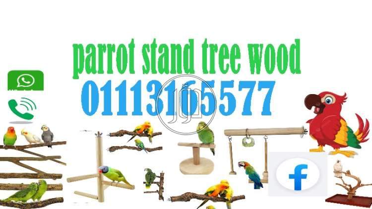 صور اسماك وطيور الزينة للبيع في مصر - دوّر.كوم