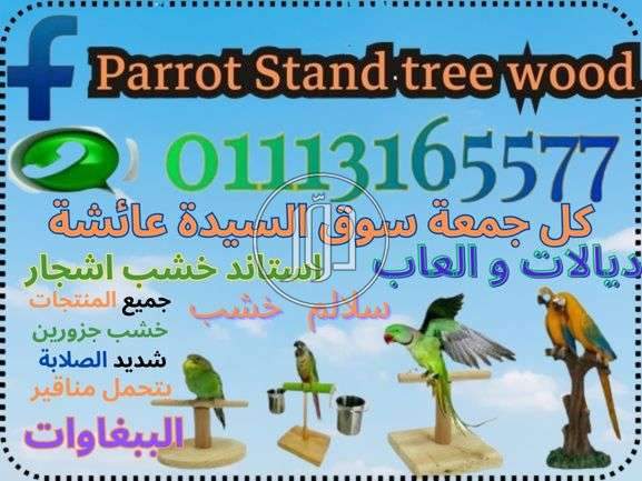 صور اسماك وطيور الزينة للبيع في القاهرة - دوّر.كوم