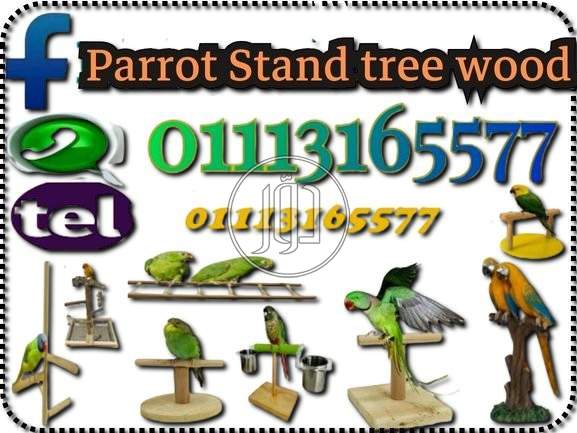 صور اسماك وطيور الزينة للبيع في مصر - دوّر.كوم