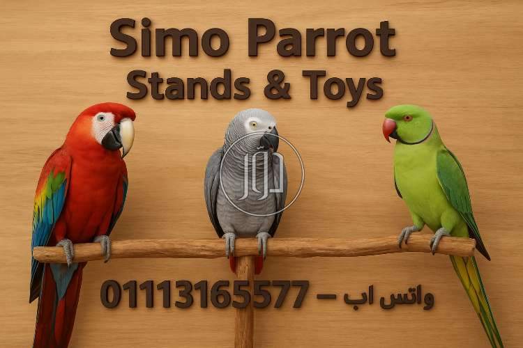 مستلزمات ببغاوات و طيور زينة