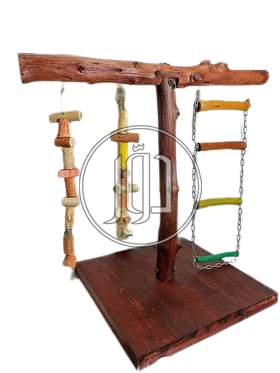 صور اسماك وطيور الزينة للبيع في القاهرة - دوّر.كوم