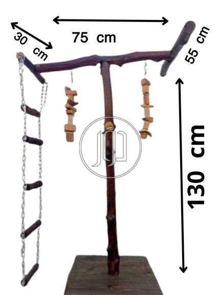 صور اسماك وطيور الزينة للبيع في مصر - دوّر.كوم